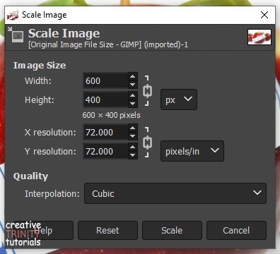 Resize image options in GIMP. 