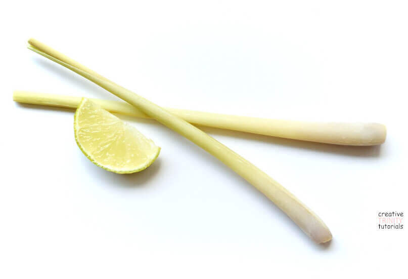 Lemongrass with a slice of lemon
